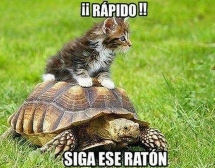 Rápido!!!