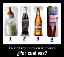 La vida resumida en 4 envases