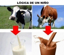 Lógica de un niño