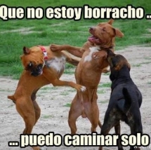 No estoy borracho... ¿?