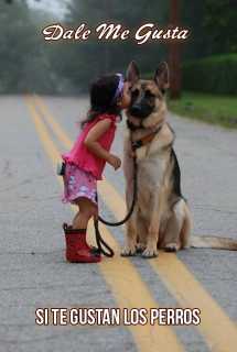 Te gustan los perros?