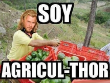 SOY AGRICUL THOR