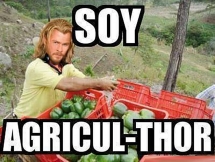 SOY AGRICUL THOR