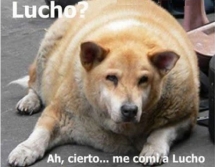 Lucho????