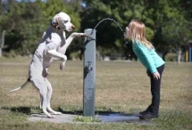 EL MEJOR AMIGO DE LOS NIÑOS