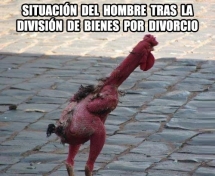 Cochina miseria tras el divorcio