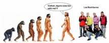 La teoría de la evolución salió mal