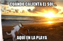 Cuando calienta el sol...