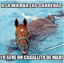 Si el caballo lucha por sus sueños, qué esperas para hacer lo mismo?