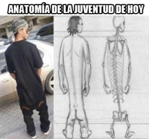 Anatomía moderna