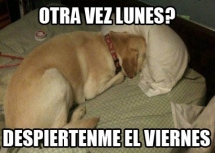 Otra vez lunes!!!