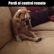 Perdí el control remoto...