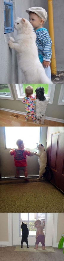 La amistad entre niños y animales...