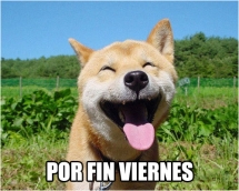 Llegó el tan querido y esperado viernes!