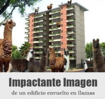 Imágenes impactantes