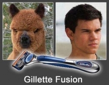 Antes y después de Gillette