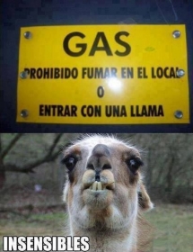 La llama ofendida