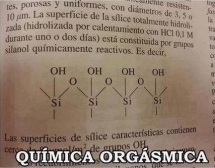 Química orgásmica