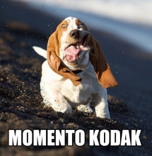 Momento Kodak
