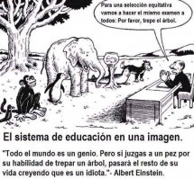 El sistema de educacion