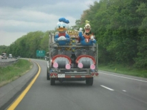 Transporte de pato donald