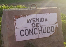 Es tu avenida?