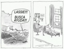 Lassie busca ayuda!!