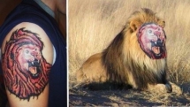 Que lindo tatuaje! es igual al leon! jaja