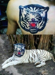 Mal tatuaje de un tigre